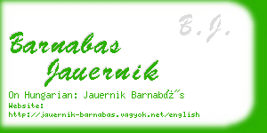 barnabas jauernik business card